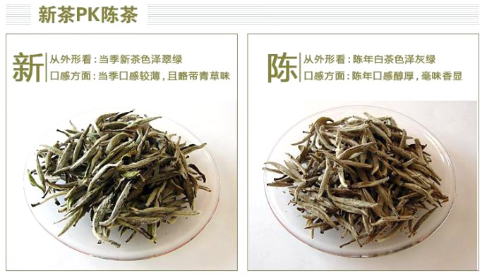 白毫銀針における新茶と陳茶（古茶）の状態比較