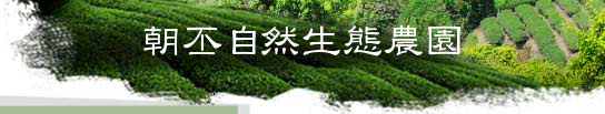 台湾茶 無農薬 有機栽培